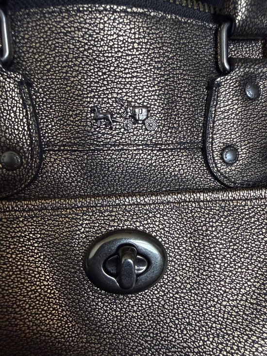 Coach Rhyder - Picture 5 of 8